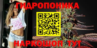 шишки Гусев