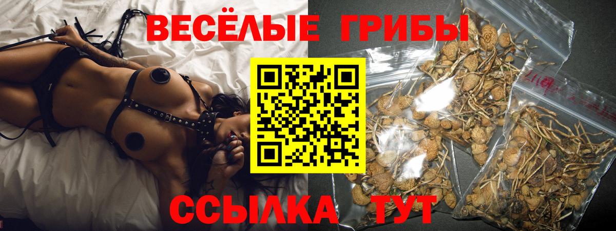 Нарткала  Псилоцибиновые грибы Magic Shrooms  Вход с VPN 